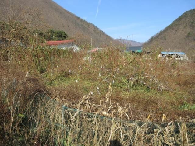 B000314202401300728394.jpg
