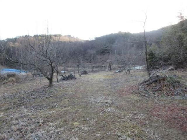 B000314202401300730541.jpg