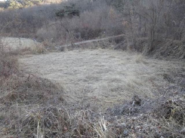 B000314202401300730543.jpg