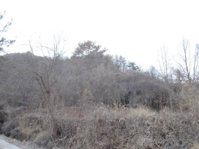 B000314202401300730542.jpg