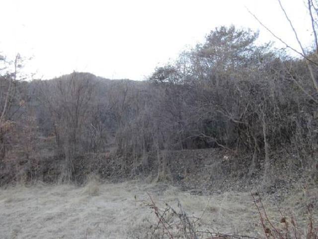B000314202401300730544.jpg