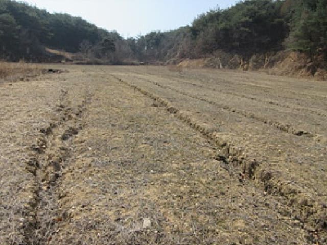 B000314202501300001274.jpg