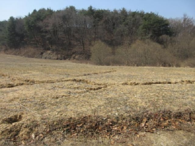 B000314202501300001271.jpg
