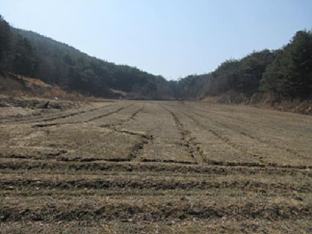 B000314202501300001273.jpg