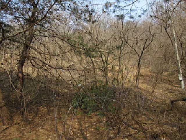B000314202501300001341.jpg