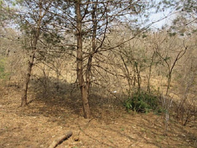 B000314202501300001342.jpg