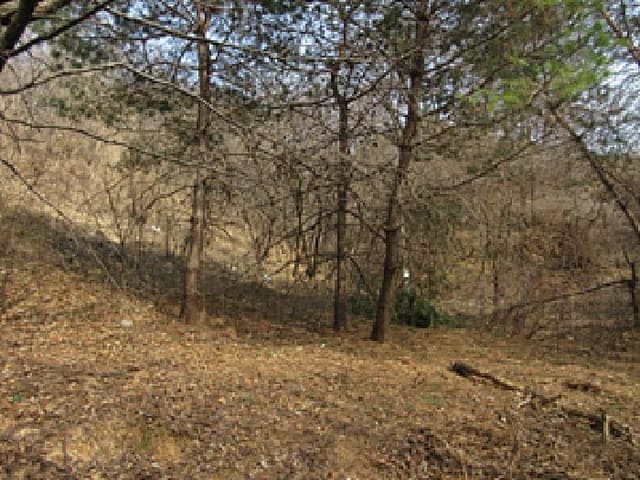 B000314202501300001364.jpg
