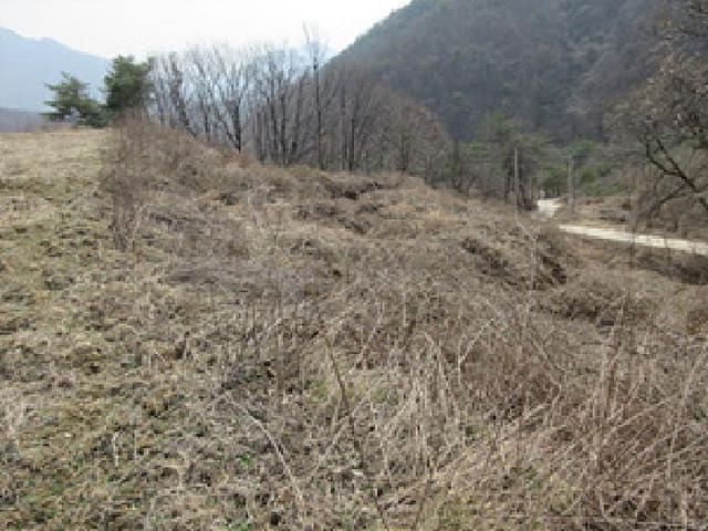 B000314202501300001361.jpg