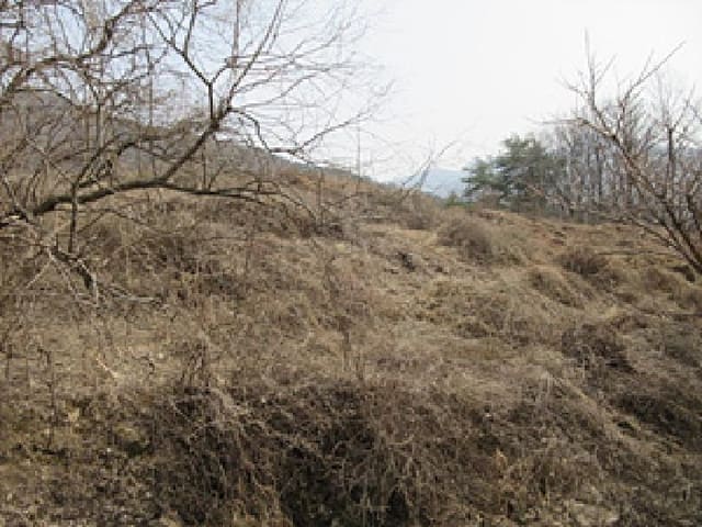 B000314202501300001362.jpg