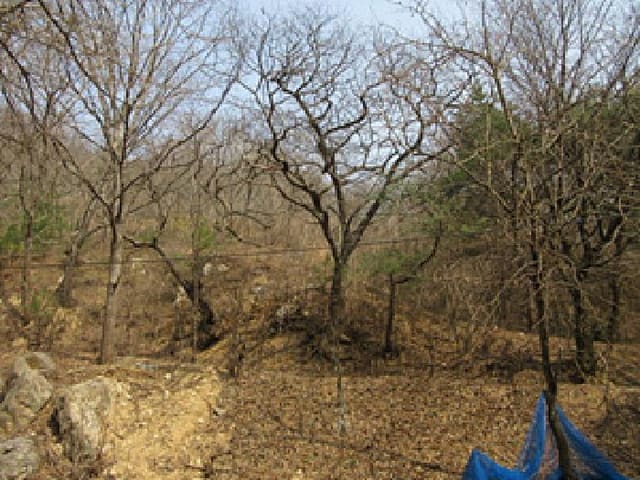 B000314202501300001363.jpg
