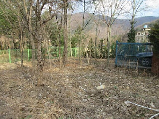 B000314202501300001471.jpg