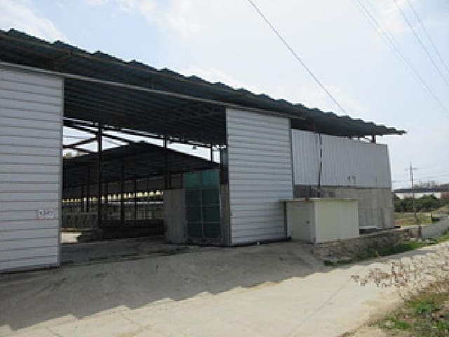 B000314202501300001491.jpg