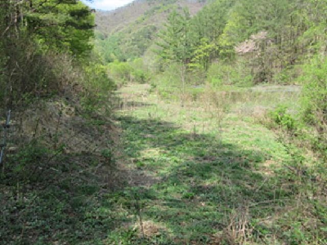 B000314202501300001582.jpg
