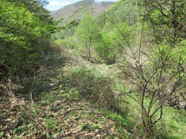B000314202501300001584.jpg