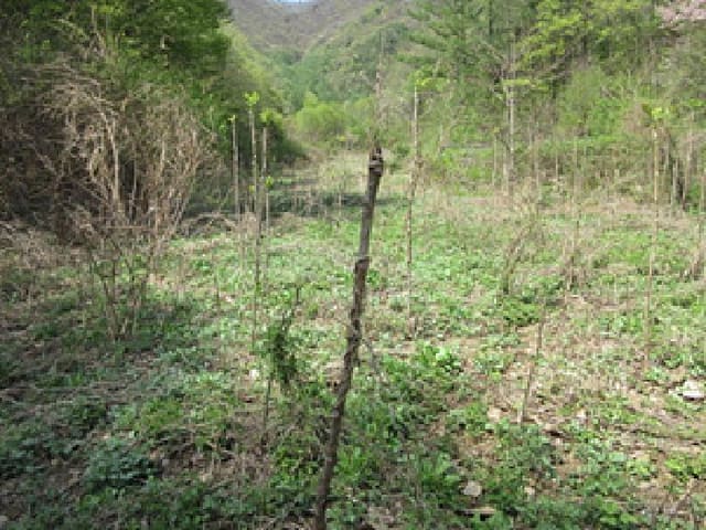 B000314202501300001583.jpg