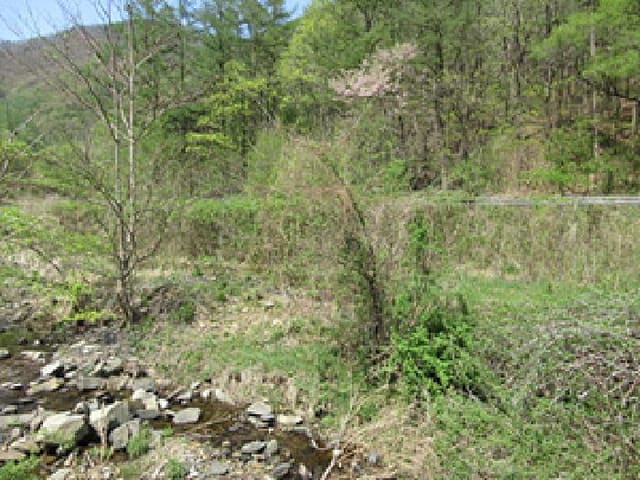 B000314202501300001581.jpg