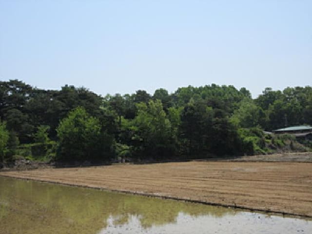 B000314202501300001701.jpg