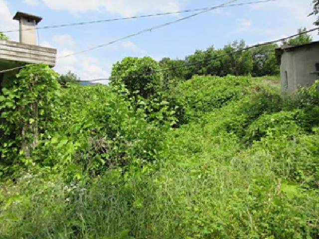 B000314202501300001782.jpg