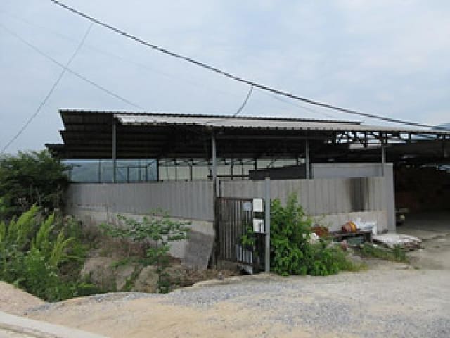 B000314202501300001832.jpg
