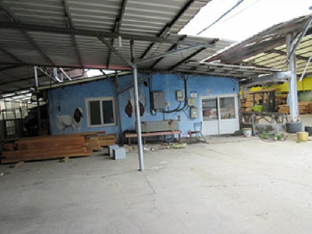 B000314202501300001834.jpg