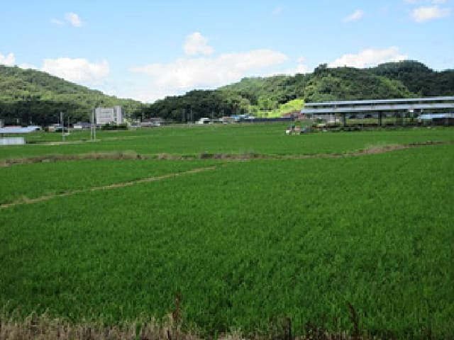 B000314202501300001932.jpg