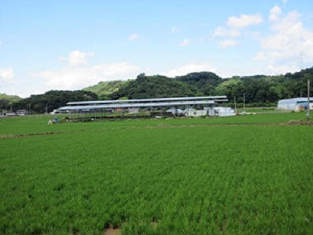 B000314202501300001931.jpg