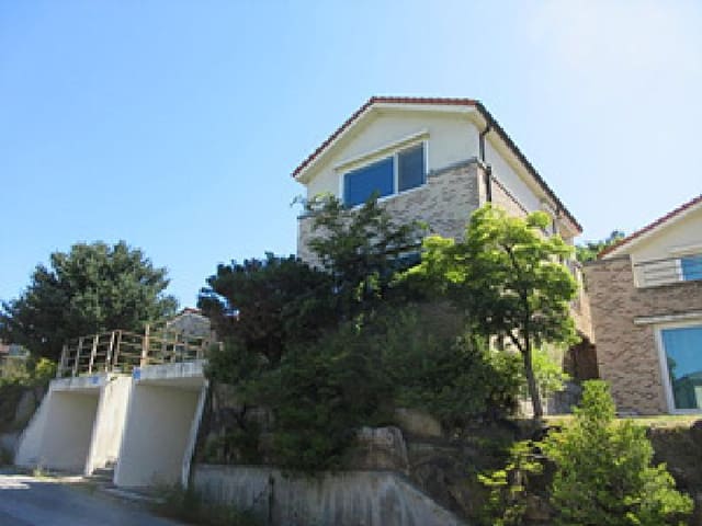 B000314202501300002001.jpg