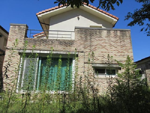 B000314202501300002002.jpg