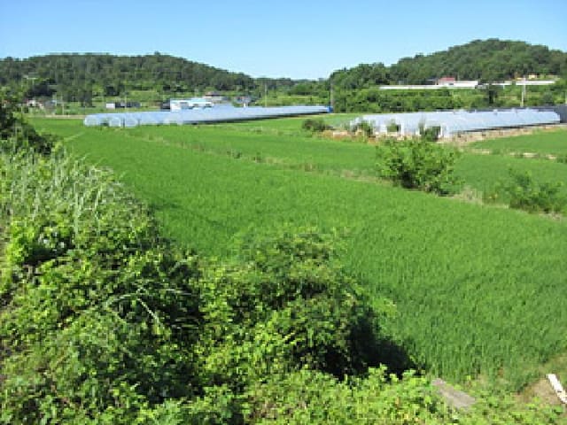 B000314202501300002021.jpg