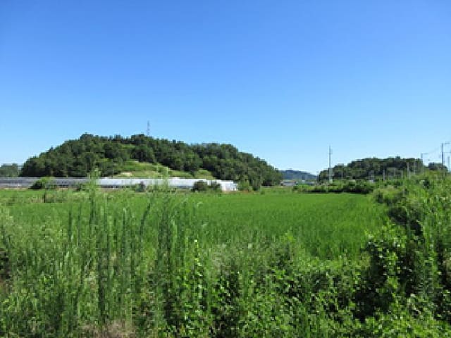 B000314202501300002023.jpg