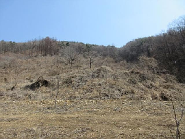 B000314202501300052401.jpg