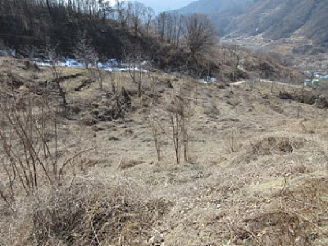 B000314202501300052404.jpg