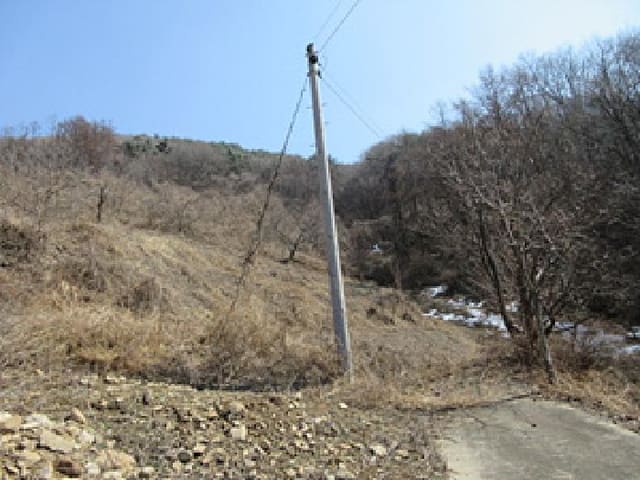 B000314202501300052402.jpg