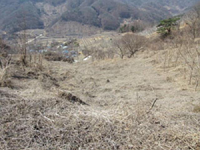 B000314202501300052403.jpg