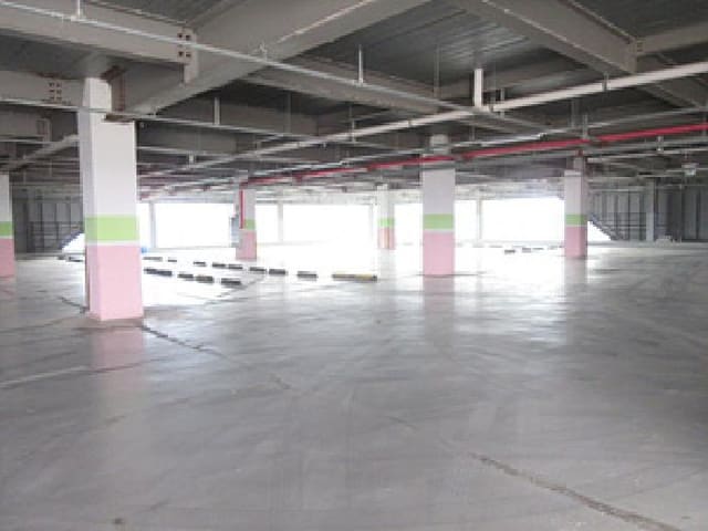 B000314202501300052623.jpg