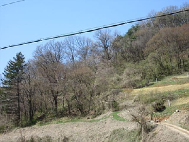 B000314202501300052643.jpg