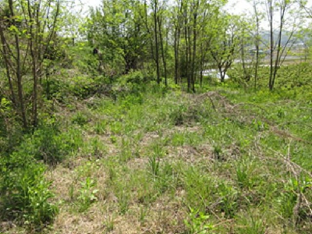 B000314202501300052931.jpg