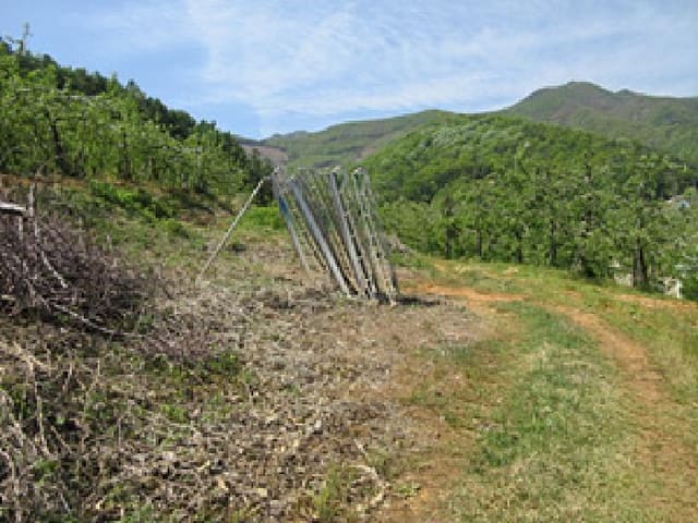 B000314202501300052933.jpg