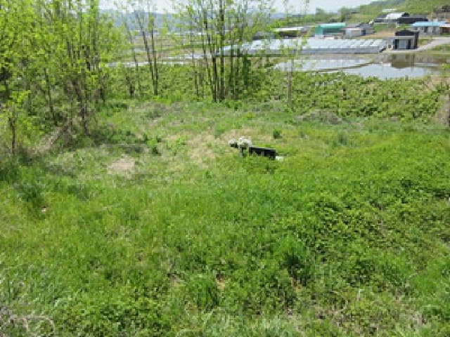 B000314202501300052932.jpg