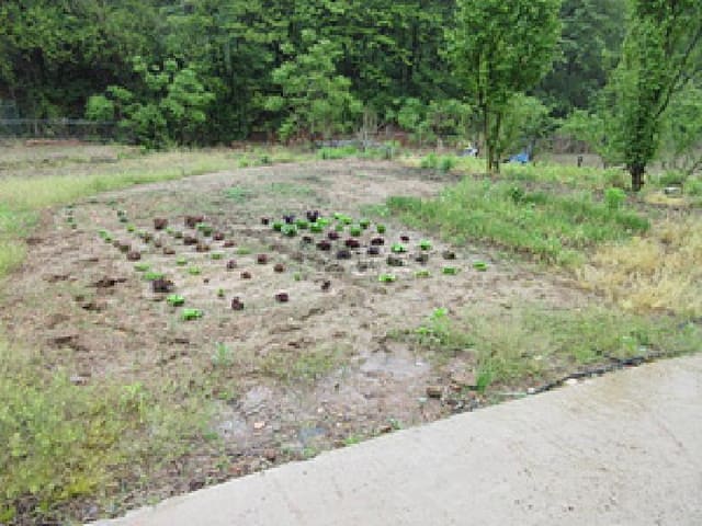 B000314202501300053004.jpg