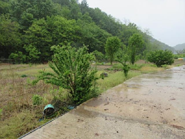 B000314202501300053003.jpg