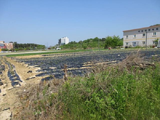 B000314202501300053011.jpg