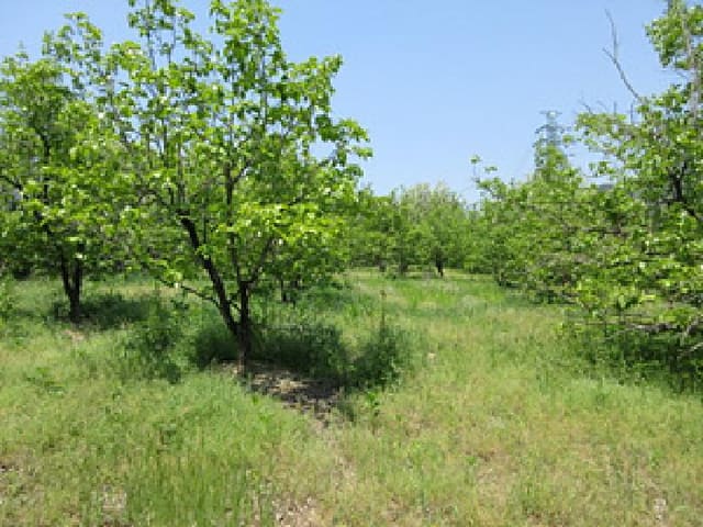 B000314202501300053021.jpg