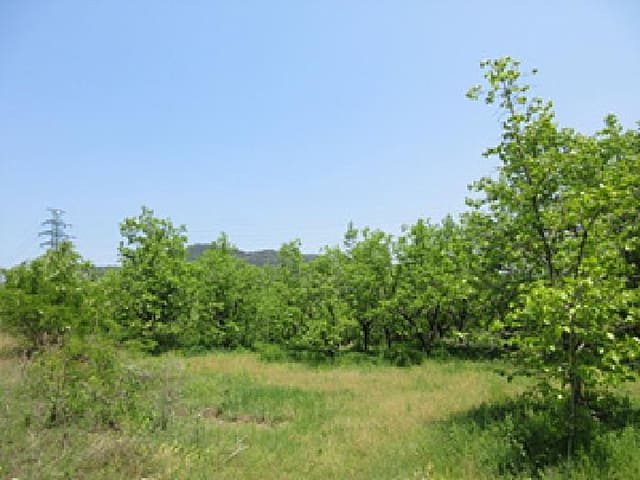 B000314202501300053023.jpg