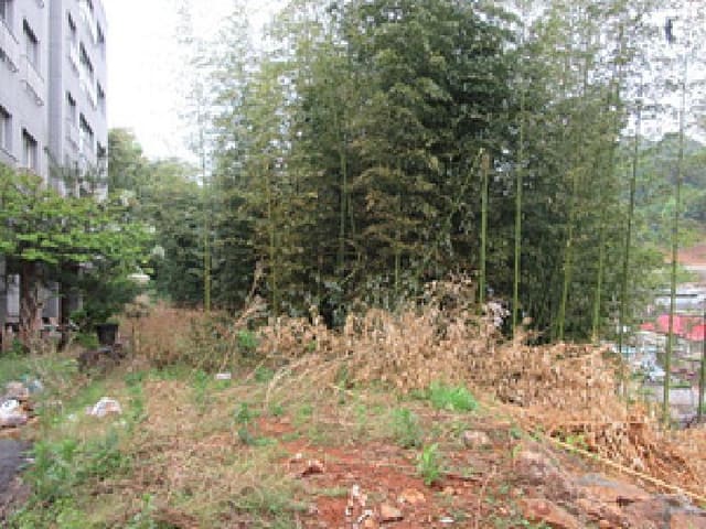 B000314202501300053033.jpg