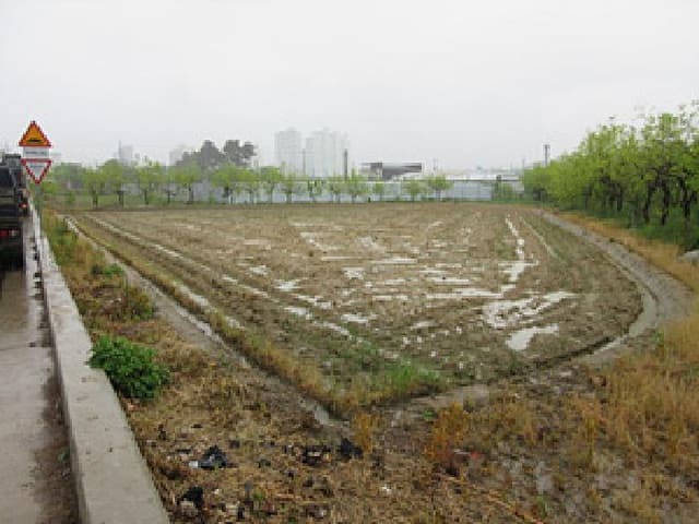 B000314202501300053111.jpg