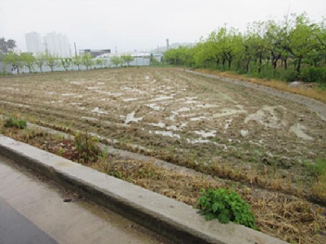 B000314202501300053112.jpg