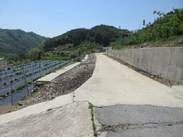 B000314202501300053134.jpg