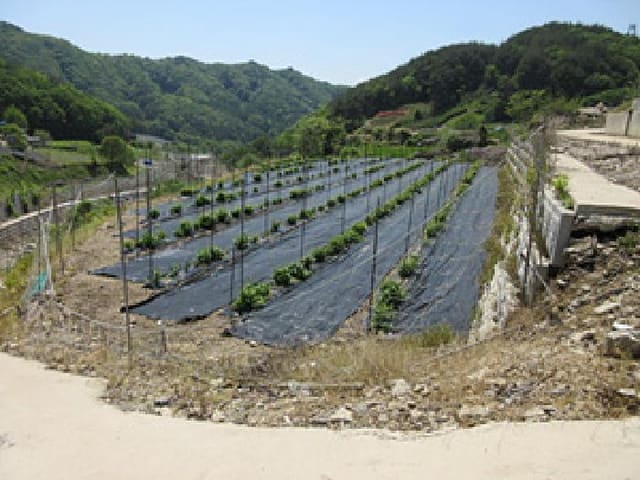 B000314202501300053132.jpg