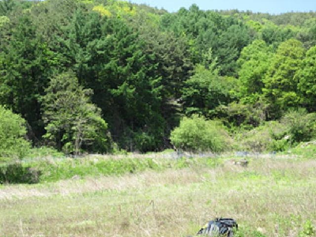 B000314202501300053131.jpg